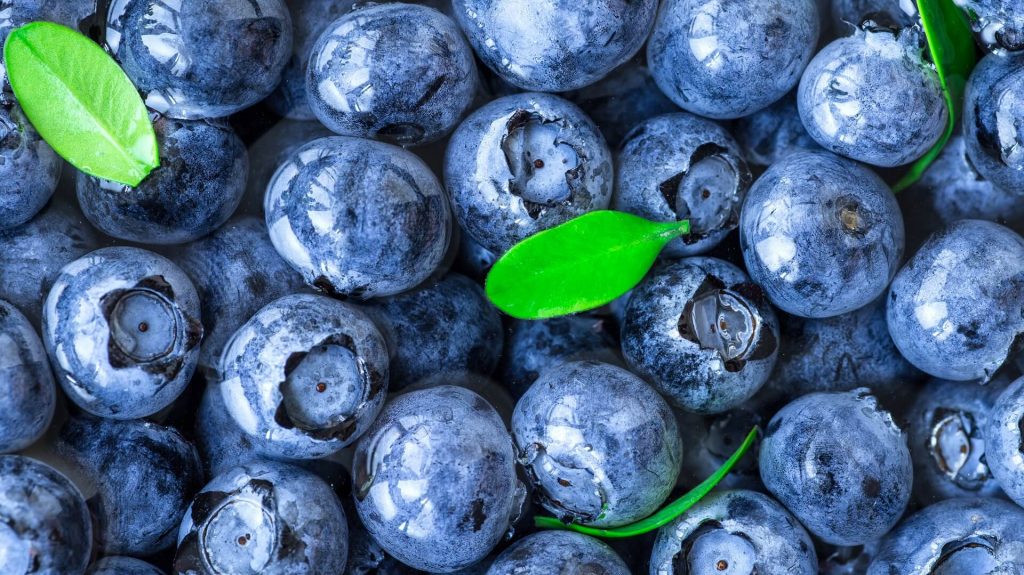 Freeze Dried Berries Are The Most Versatile Healthy Food In Canada 